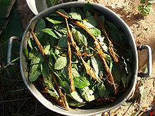 220px-Ayahuasca_and_chacruna_cocinando.jpg